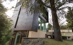 Mamma Ciccia - Ecofriendly Villa On Lake Como